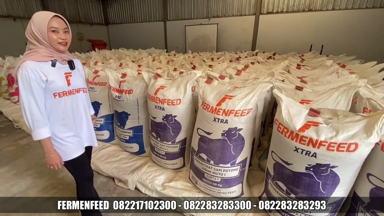 KONSENTRAT FERMENFEED UNTUK SAPI JUGA DOMBA KAMBING‼️Harga Hemat Kualitas Joss🔥