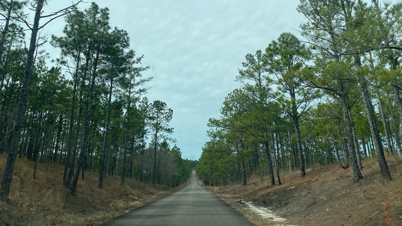 A drive around the sweet little southern town of McBee, South Carolina.