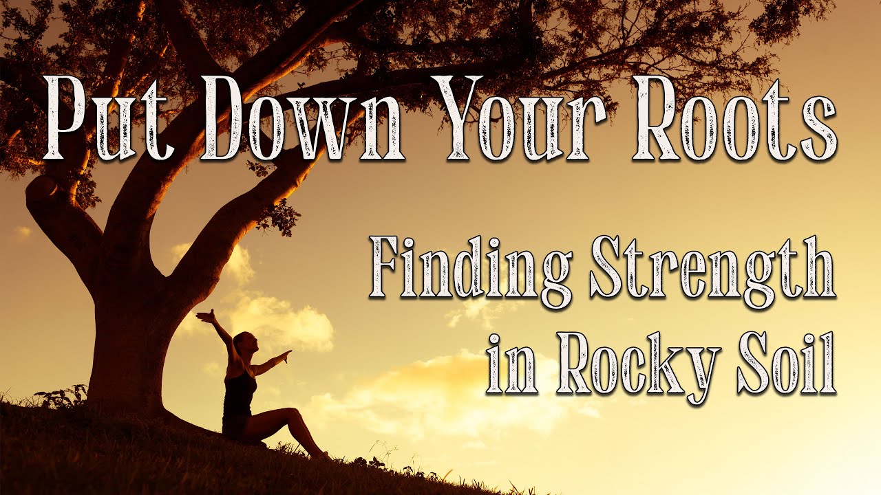 Put Down Your Roots | Compass Road Original Music Video