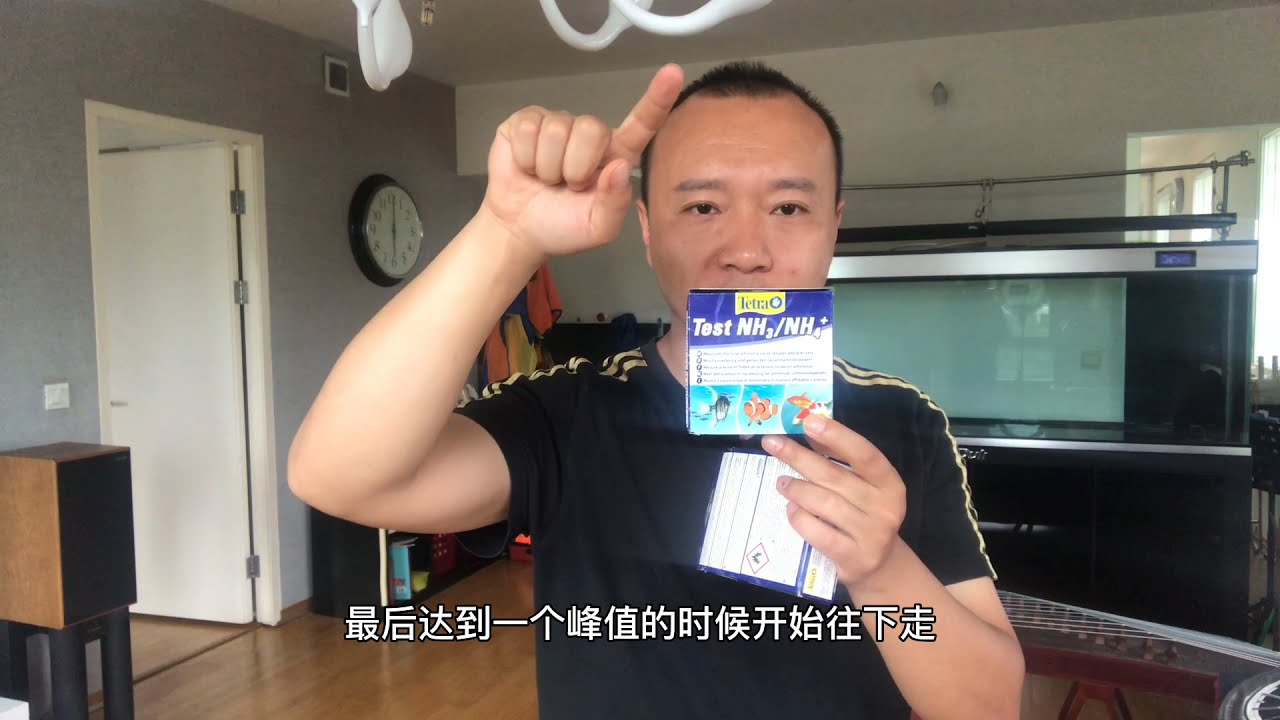 #7 观赏鱼不死了系列第三集（开缸养水和入鱼的具体步骤）