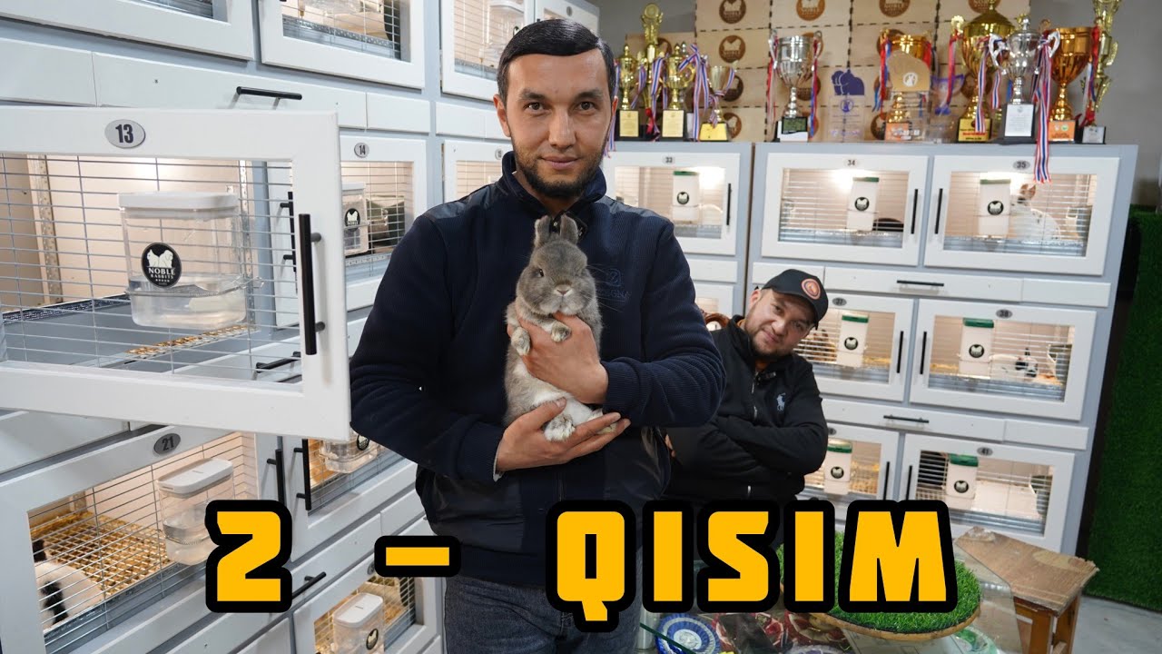 NOBLE RABBITS 2-QISIM QUYONLANI KO'RAMIZ