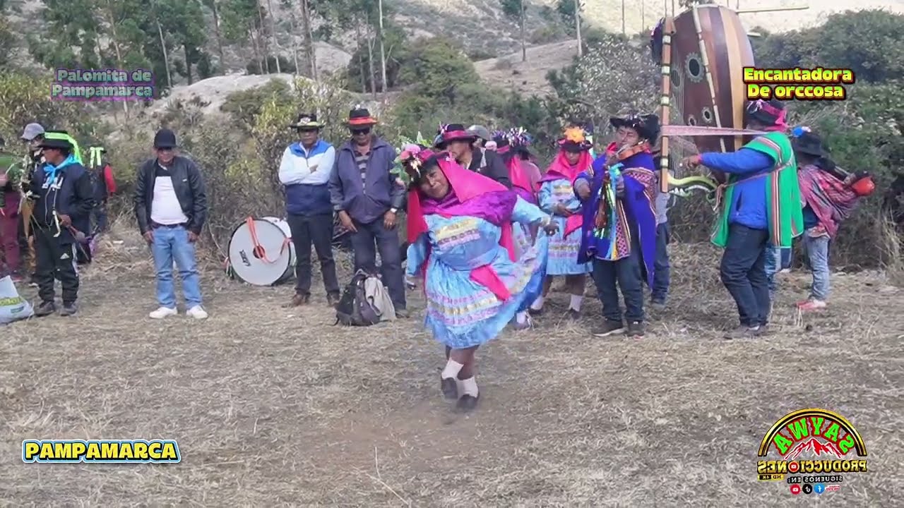🎻🎼ATIPANACUY DE GUIADORAS EN PAMPAMARCA🥳🎊