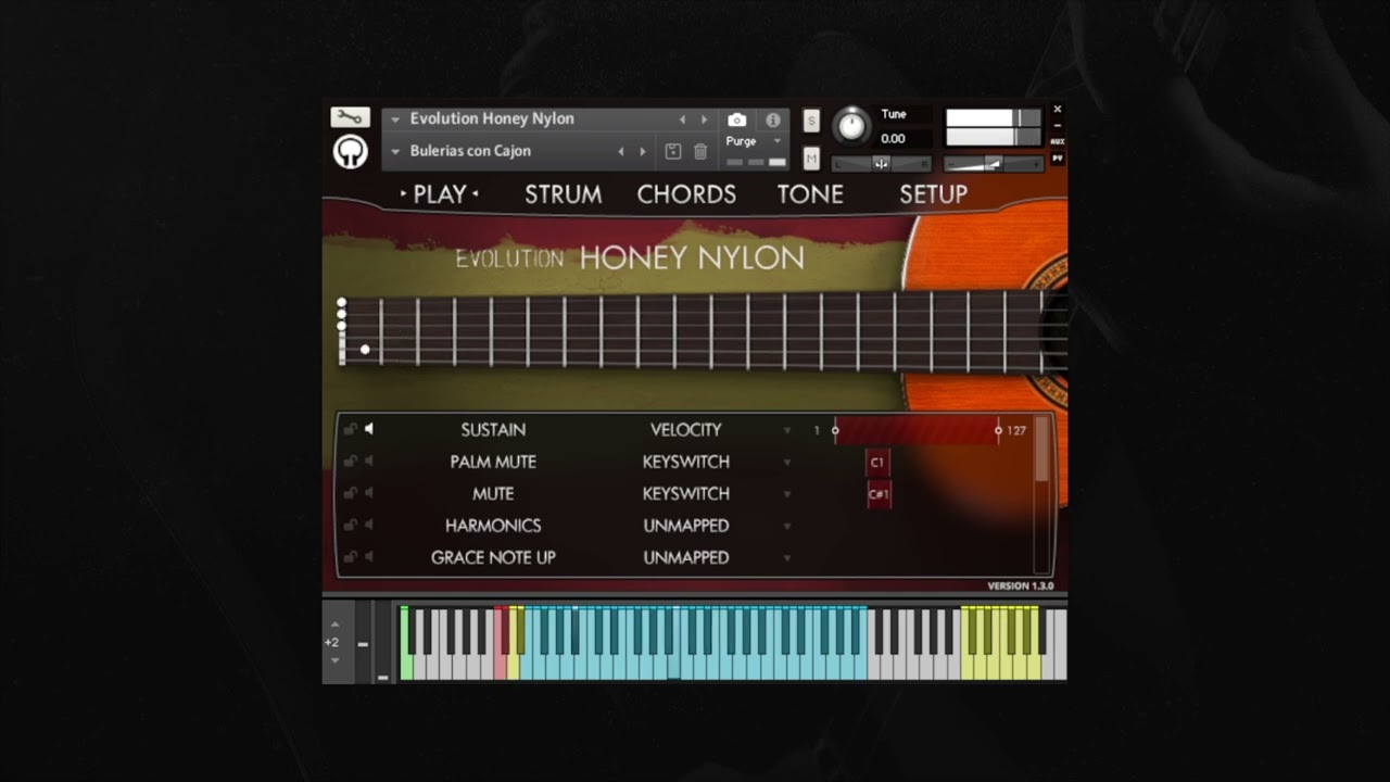 Evolution Honey Nylon - Bulerias con Cajon