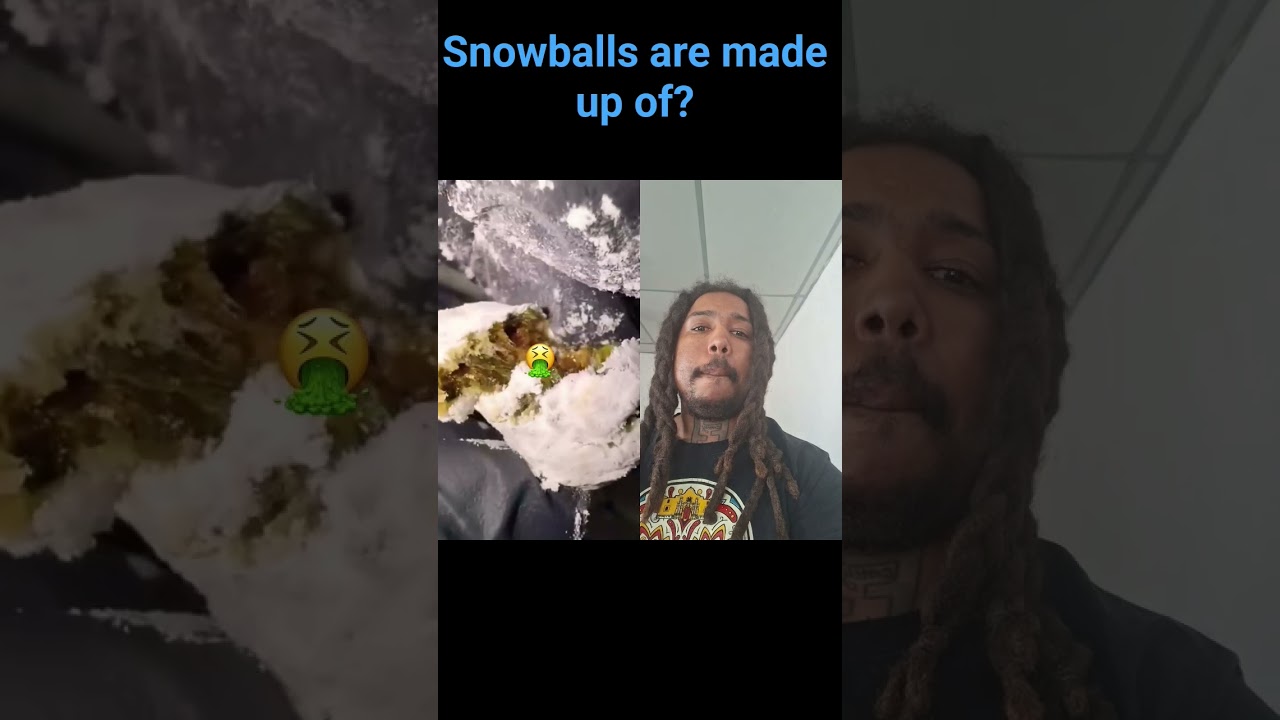 what are snowballs made up of? #viral #youtubeshorts #shorts