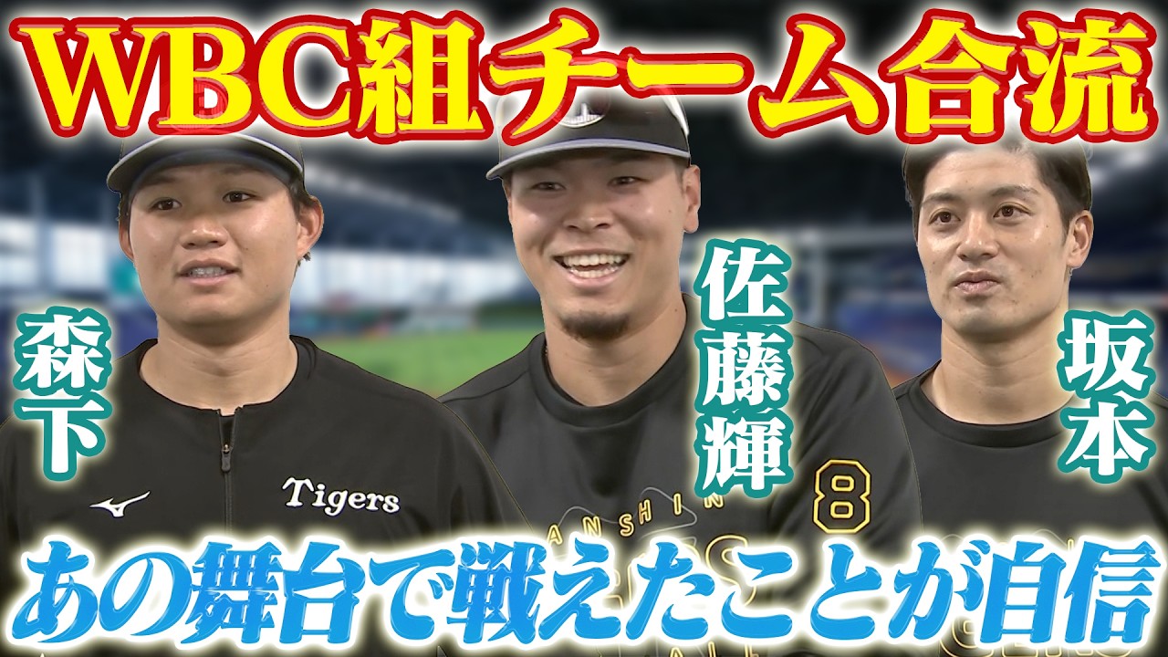 【WBC組合流】佐藤輝・森下・坂本の侍トリオが戻ってきた！世界を経験した虎の主軸たちがWBCについて、開幕に向けての意気込みを語る！阪神タイガース密着！応援番組「虎バン」ABCテレビ公式チャンネル