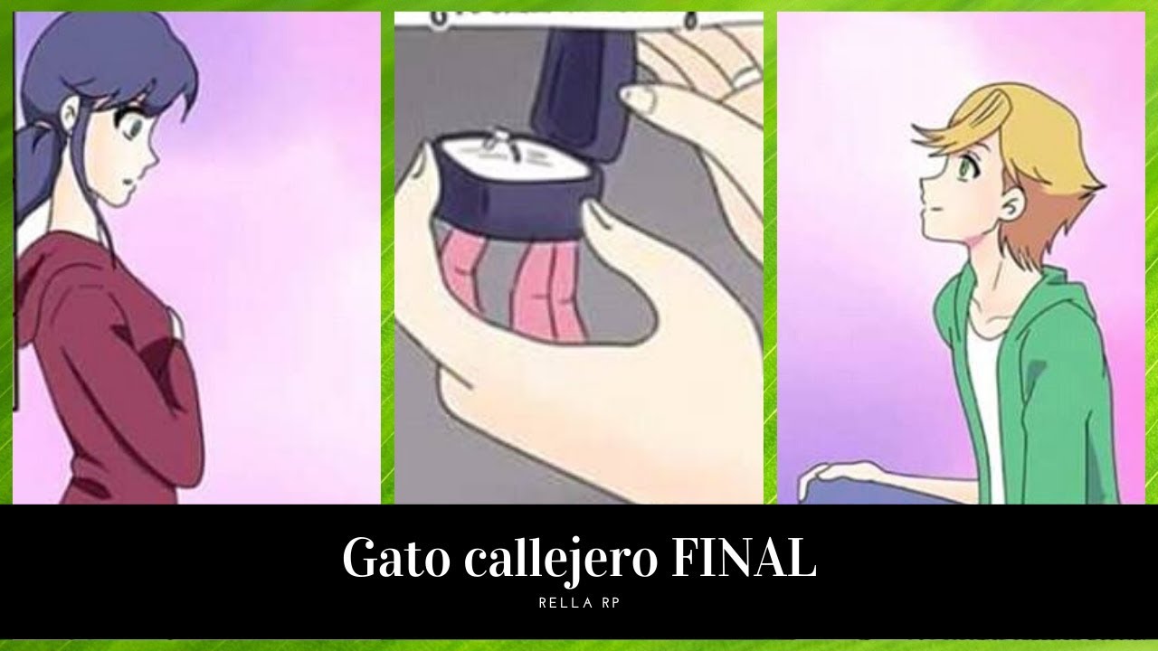 🐱Gato callejero🐱 FINAL | Miraculous (Comic dub)
