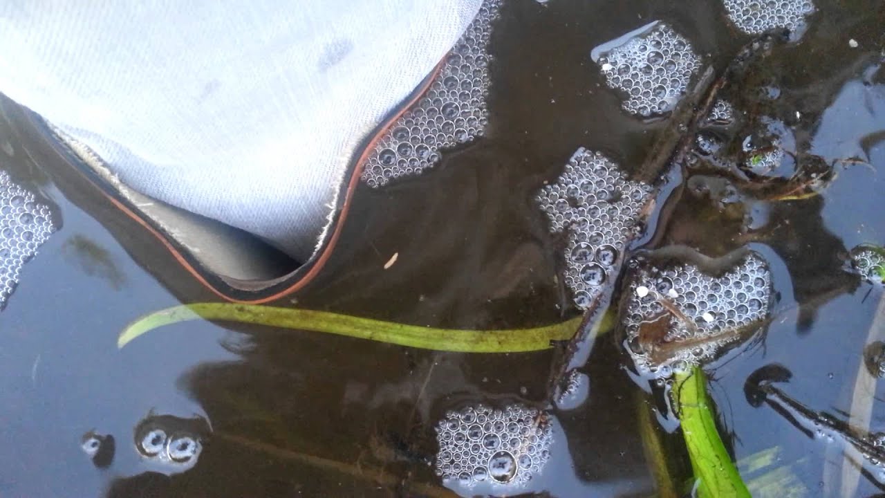 Flooding my rubber boots in mucky water