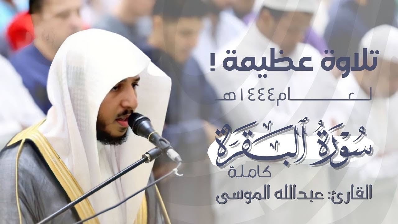 حصريًا 
