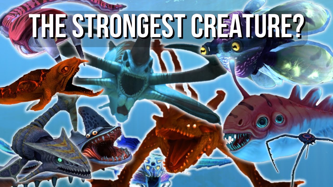 Subnautica Fighting Championship