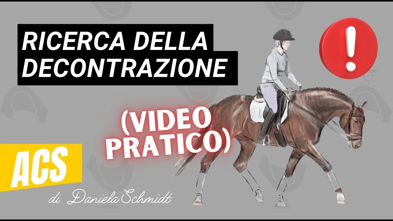 PER TUTTI I CAVALLI: La fase di riscaldamento IDEALE 🏇🏼