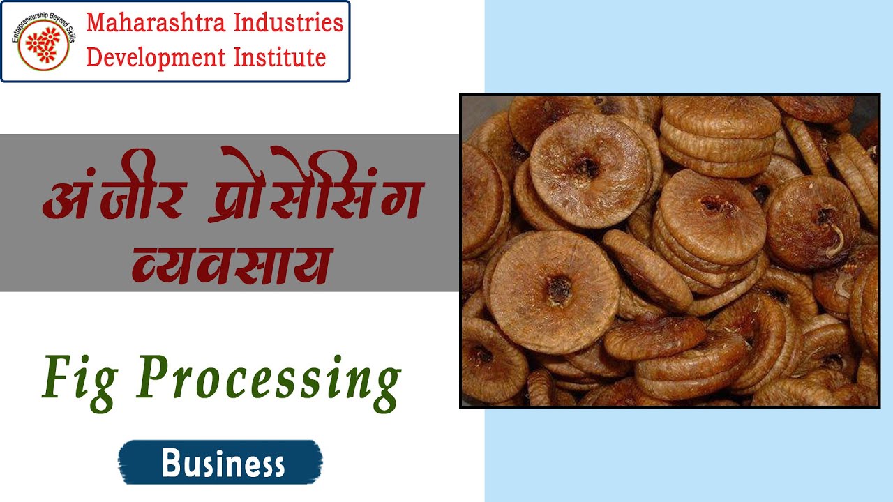 अंजीर प्रोसेसिंग व्यवसाय || Figs Processing Business