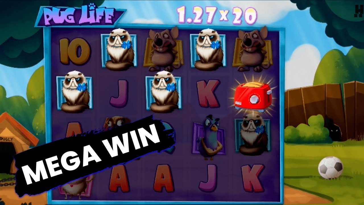 BIG WIN On PUG LIFE Super Bonus | Hacksaw Slot ($0.10 Bet)