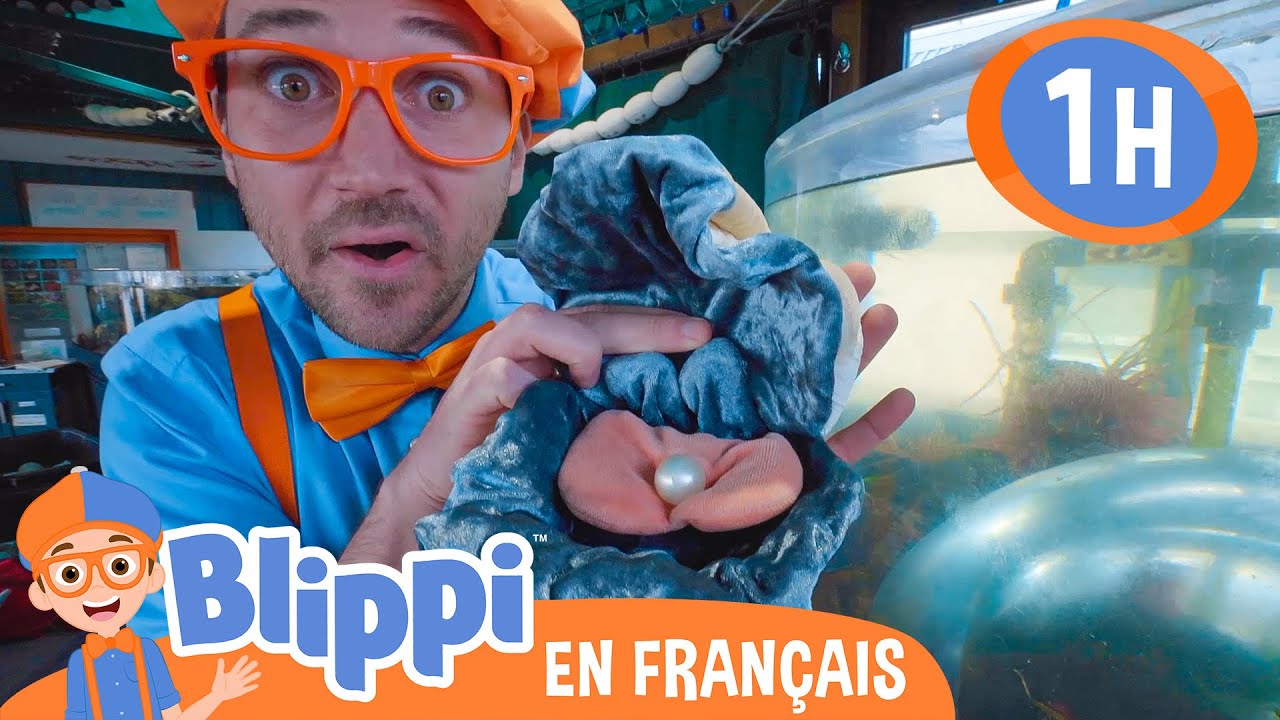 À la découverte des animaux sous-marins | Blippi en français | Vidéos éducatives pour enfants