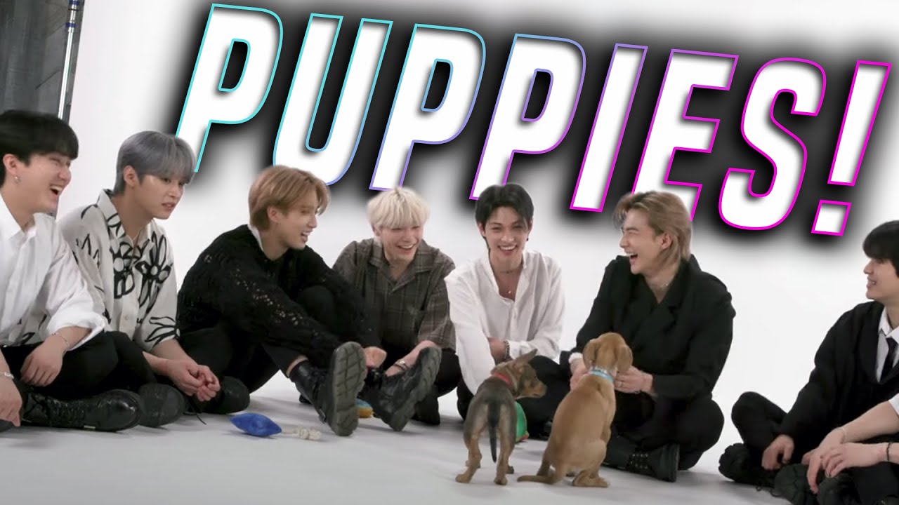 Stray Kids Buzzfeed Puppy Interview Reaction!!