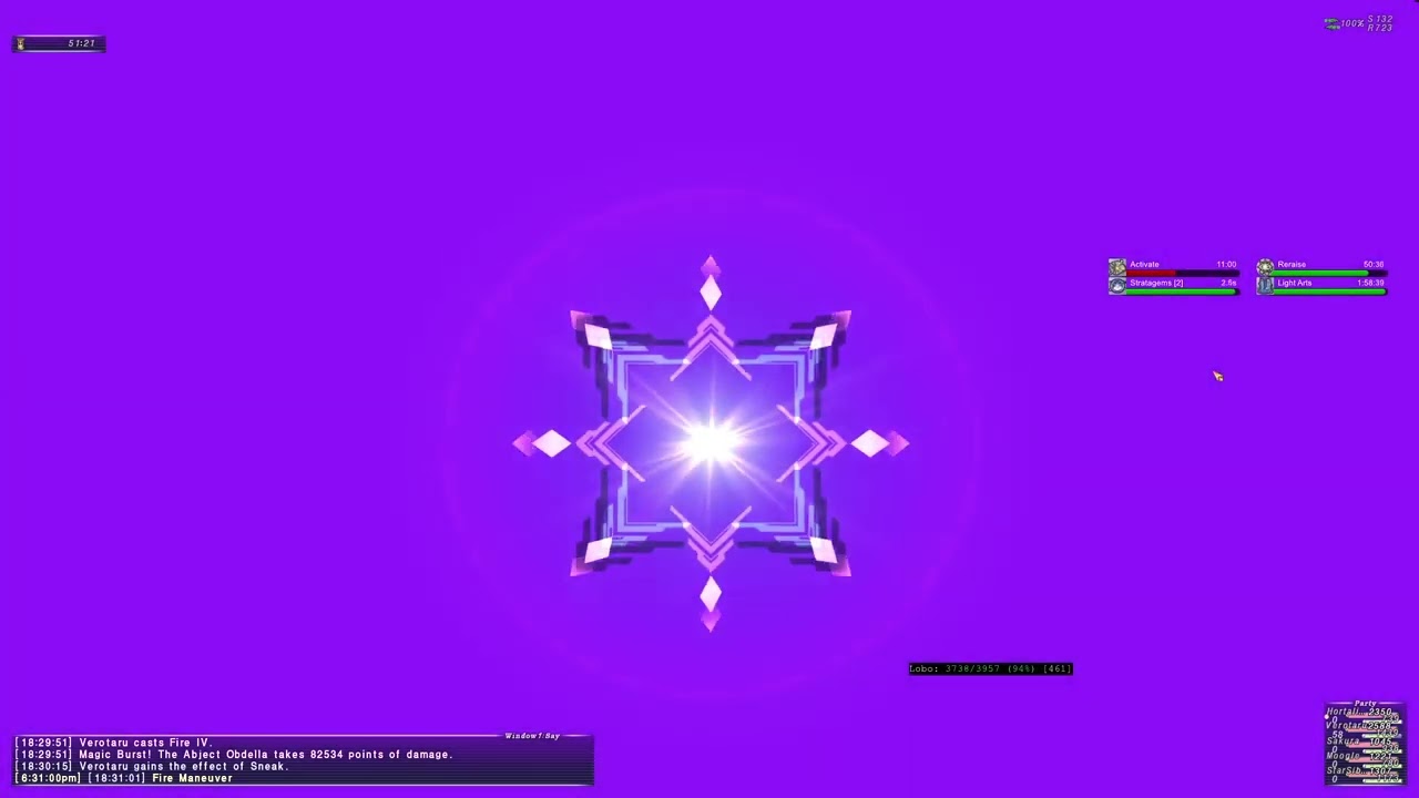 FFXI - Duo Sortie 17k PUP-SCH
