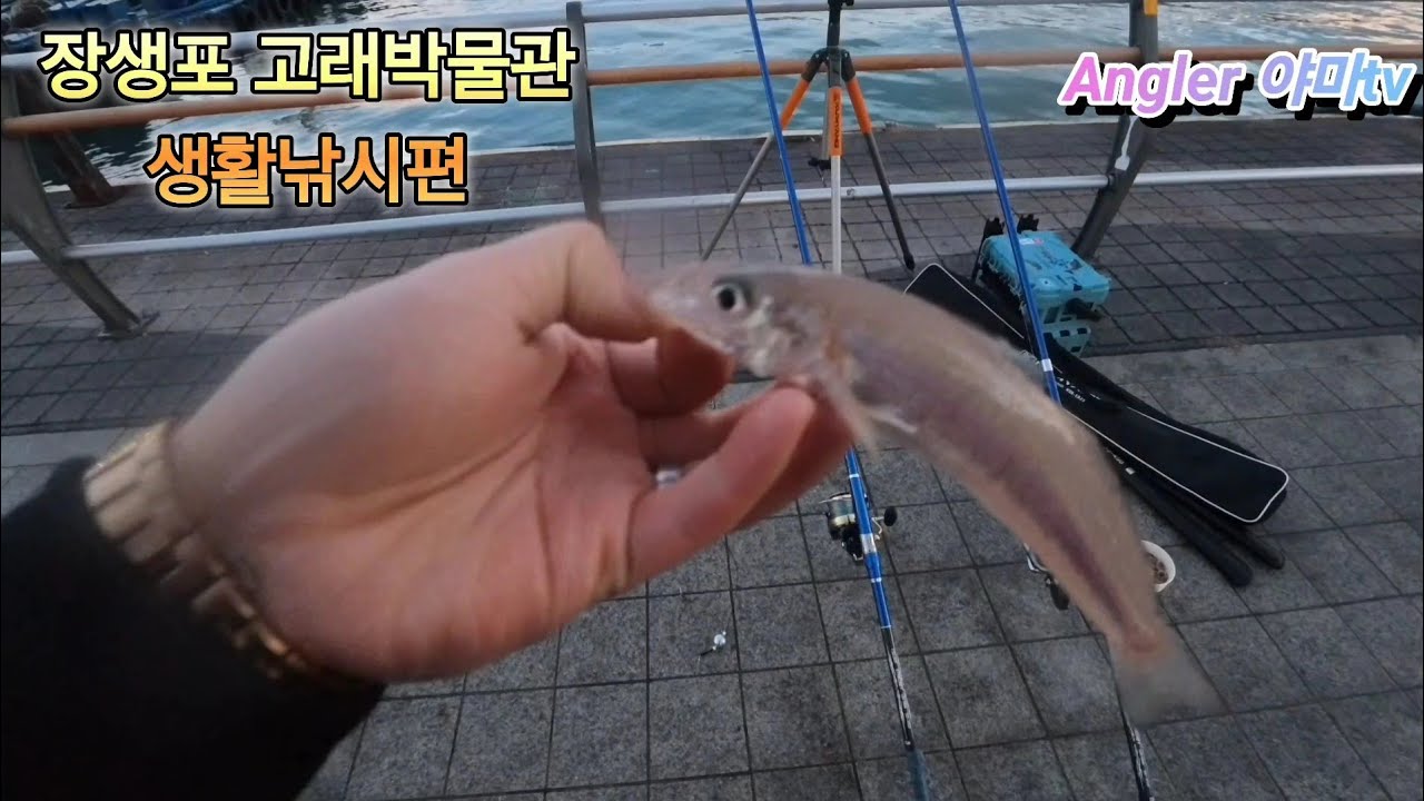 장생포 고래박물관 생활낚시 !!  어떤어종이 나올까 ?? 