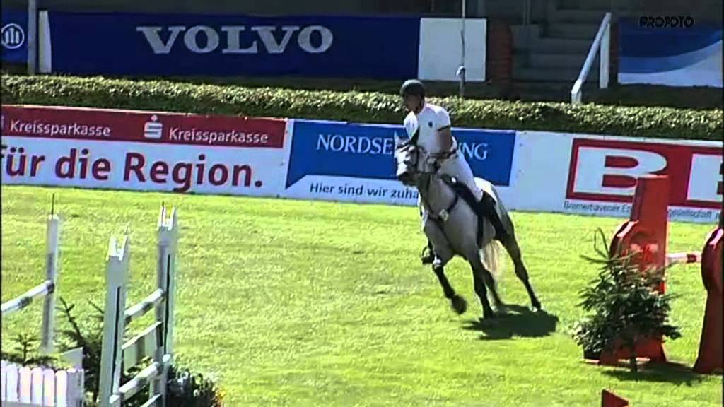 Borneo Balou de Rouet x Carthago x Silvio I grey gelding of 2006