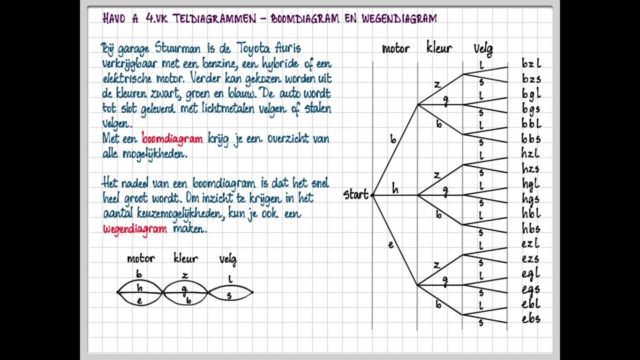 havo A 4.VK Teldiagram - Boomdiagram en wegendiagram