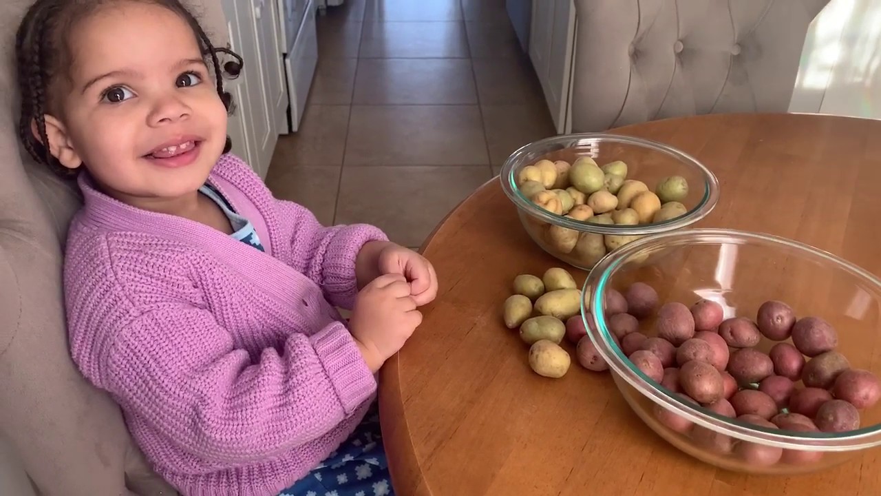 Preschool Toddler Lesson on Sorting and Grouping