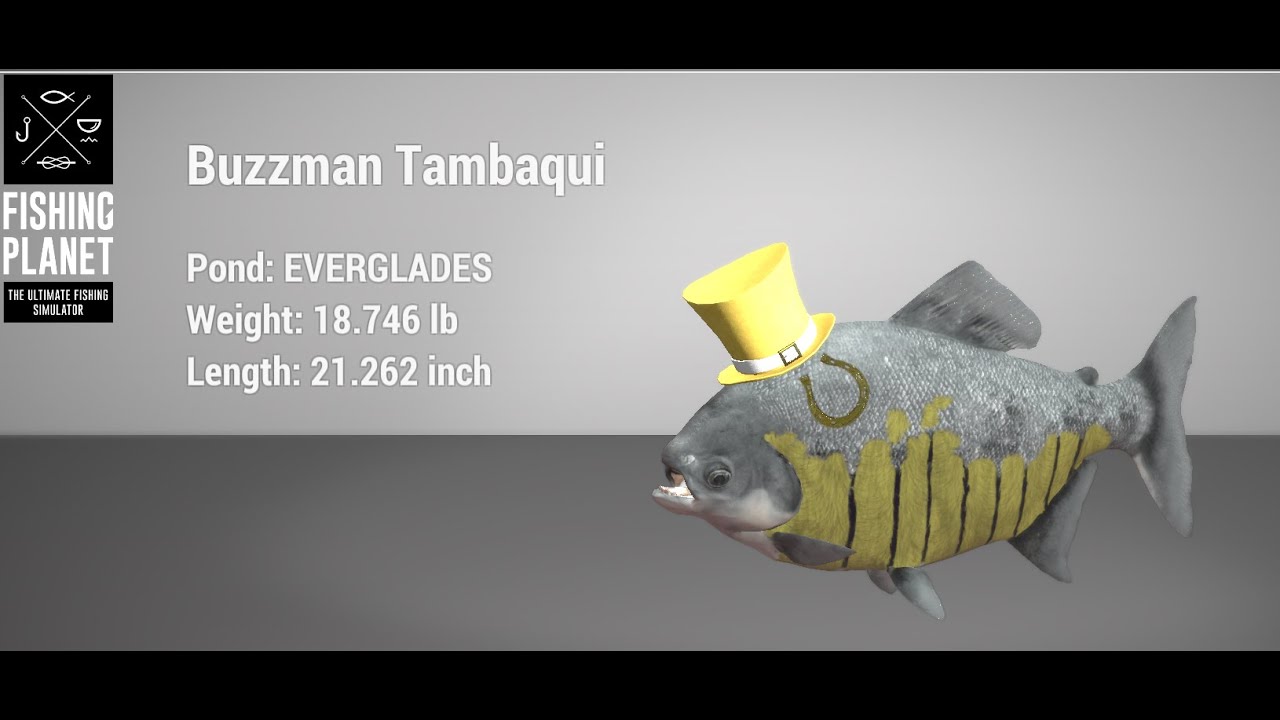 Fishing Planet - St. Patrick's Day - Everglades -  Buzzman Tambaqui