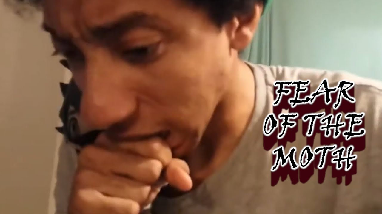 Deku's Husbando Has Mental Breakdown Over a Tiny Moth (Live Clip)