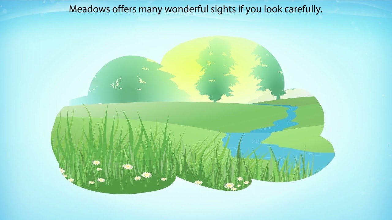 NCERT Class 7 English Honeycomb | Chapter 8: Meadow Surprises