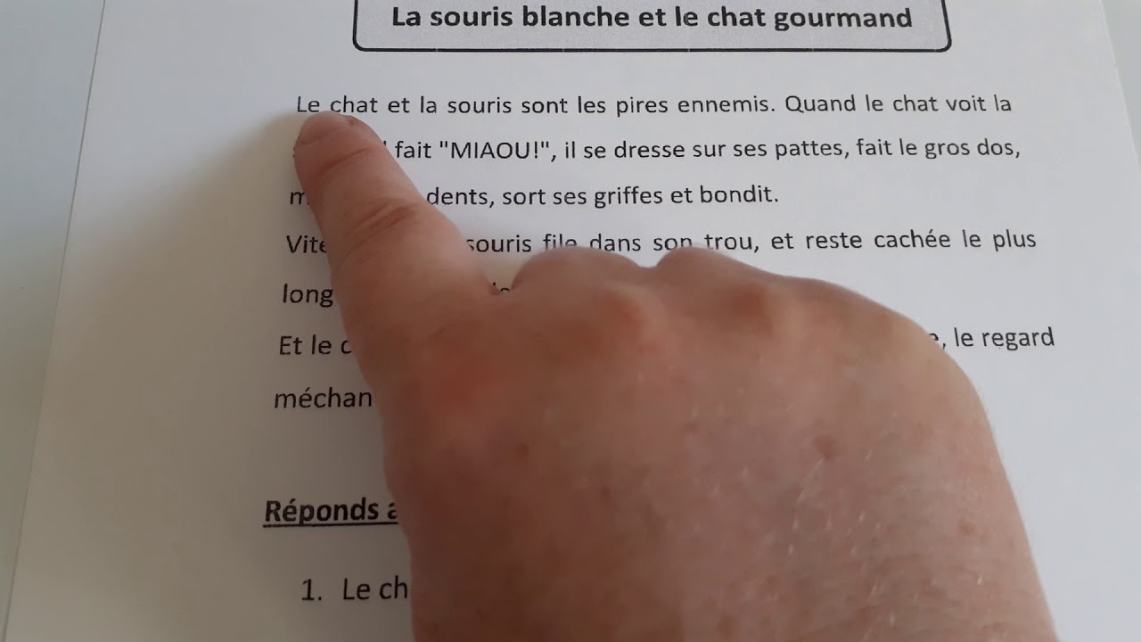 CE1 Lecture du texte : La souris blanche et le chat gourmand