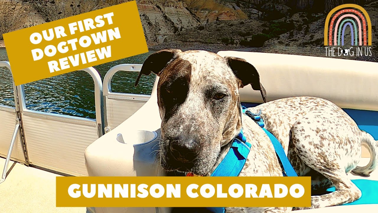 Gunnison, Colorado with a Dog