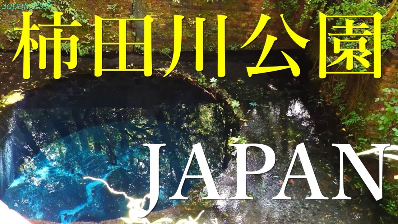 日本三大清流 柿田川公園の神秘的なブルーホール 2025 4k The Amazing Blue Hole at Kakitagawa Park