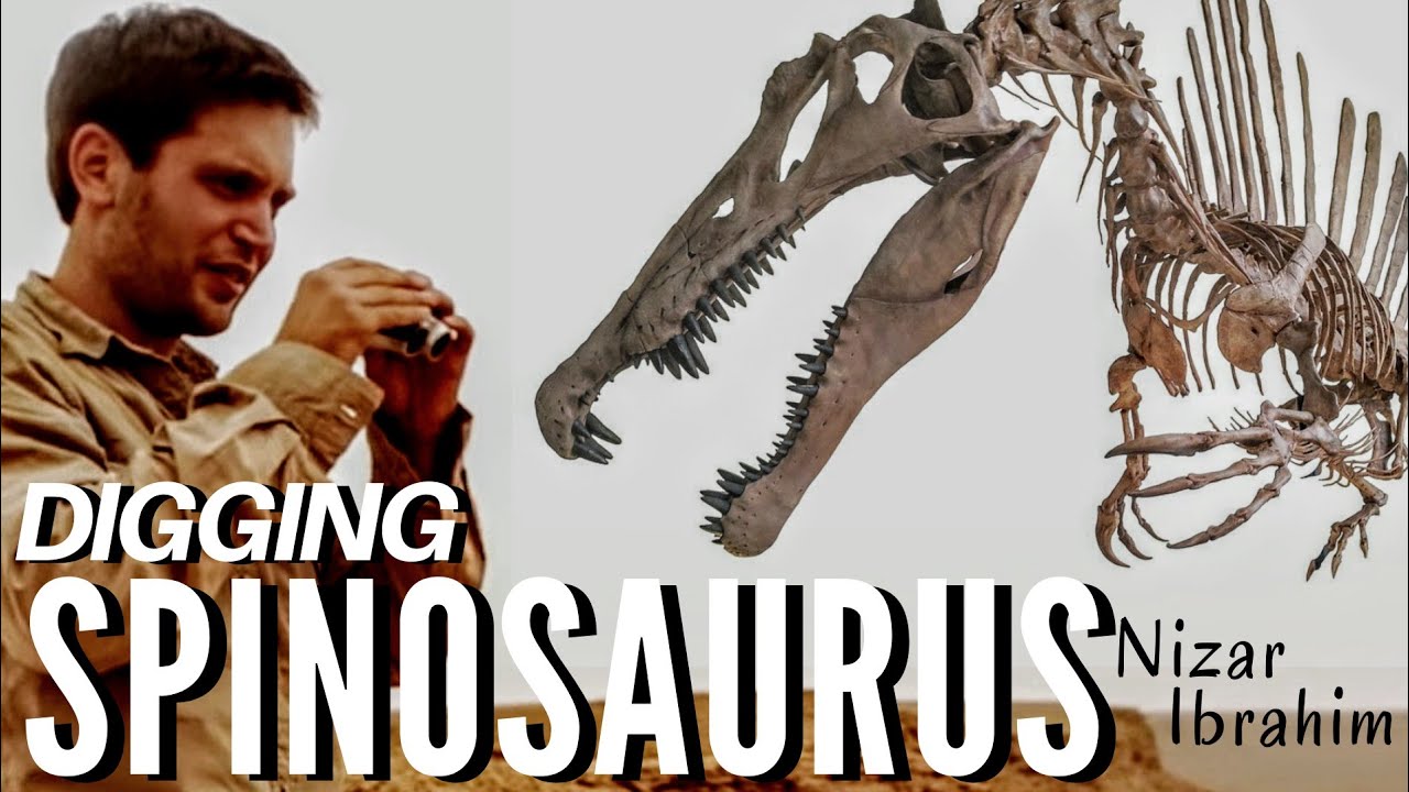 Digging Spinosaurus ~ with National Geographic Explorer NIZAR IBRAHIM