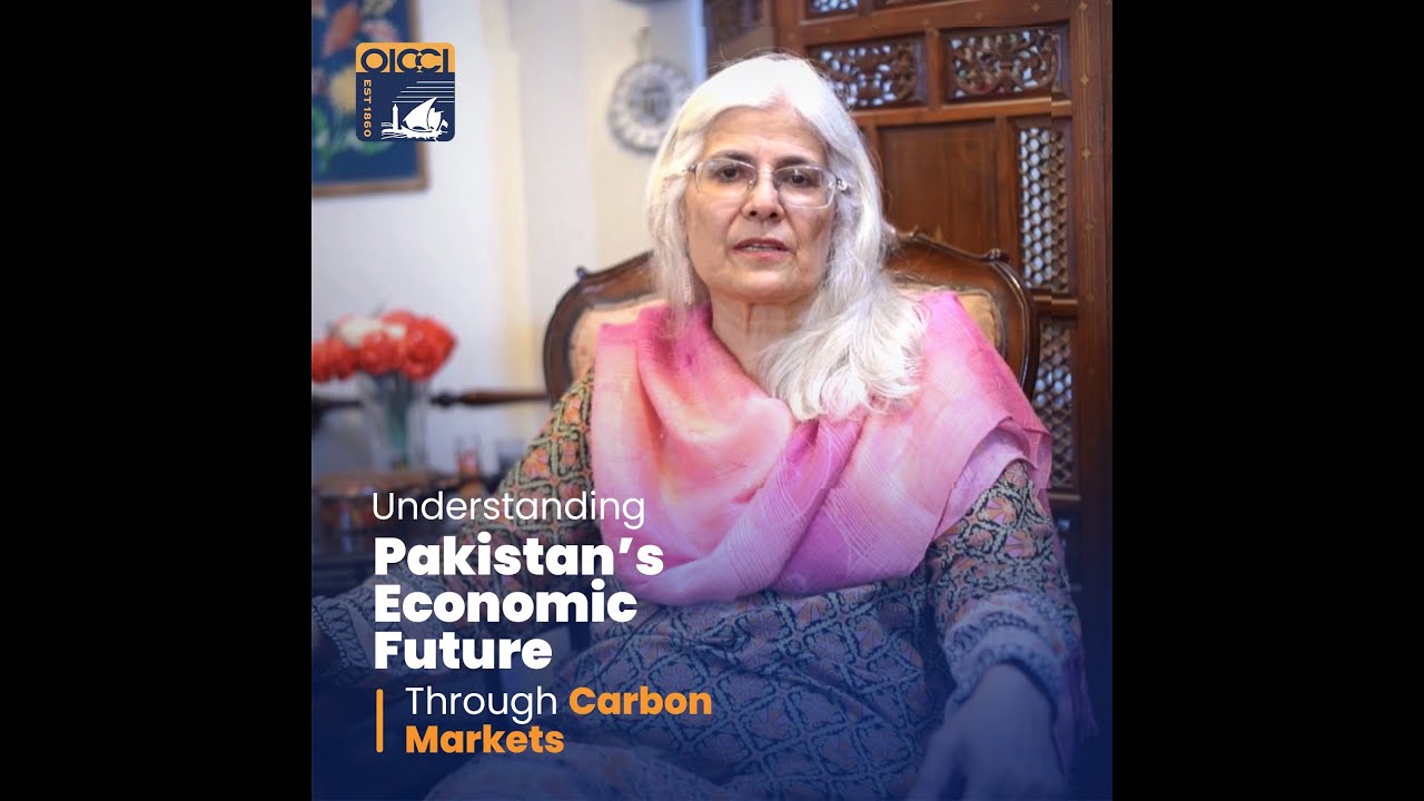 Afia Salam | The Climate Crisis | Pakistan's Opportunity for Change