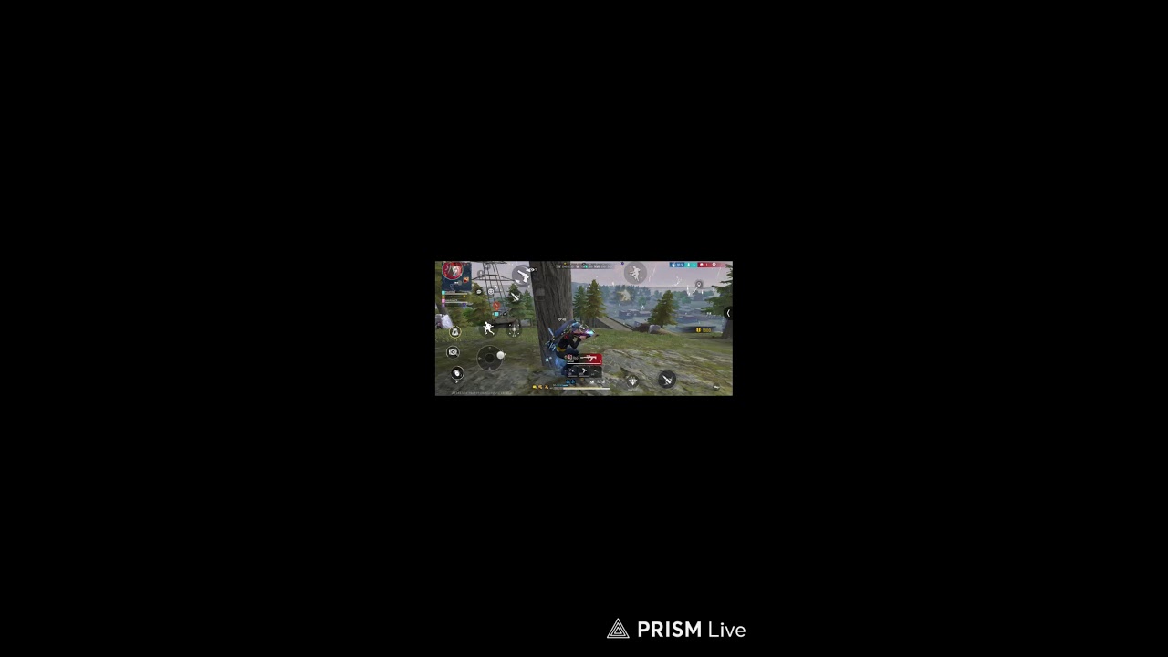 Live streaming of MLF gaming ? ¿
