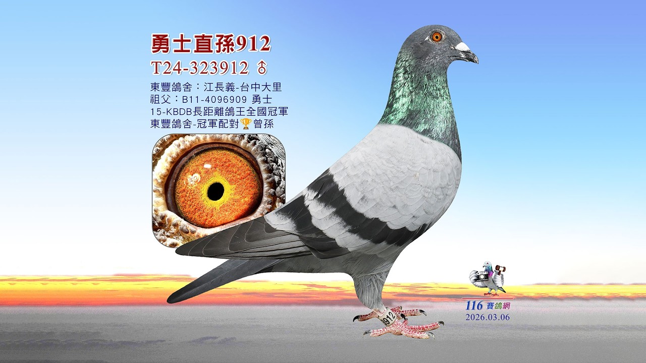 【江長義】T24-323912
