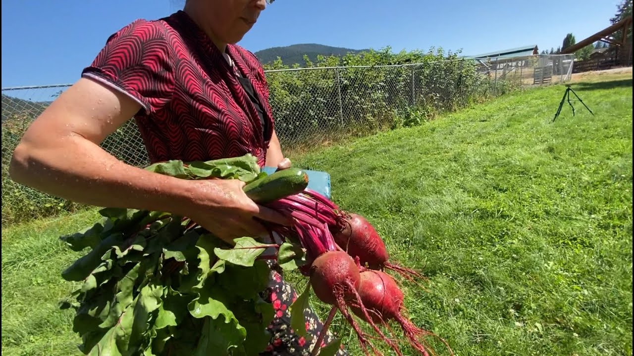Свежие продукты и скидки в магазине Farm To Market в Либби, штат Монтана