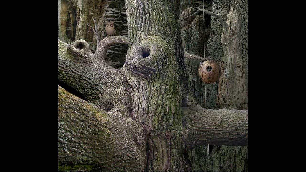 Samorost 1 Ambience - Strom (No worms)
