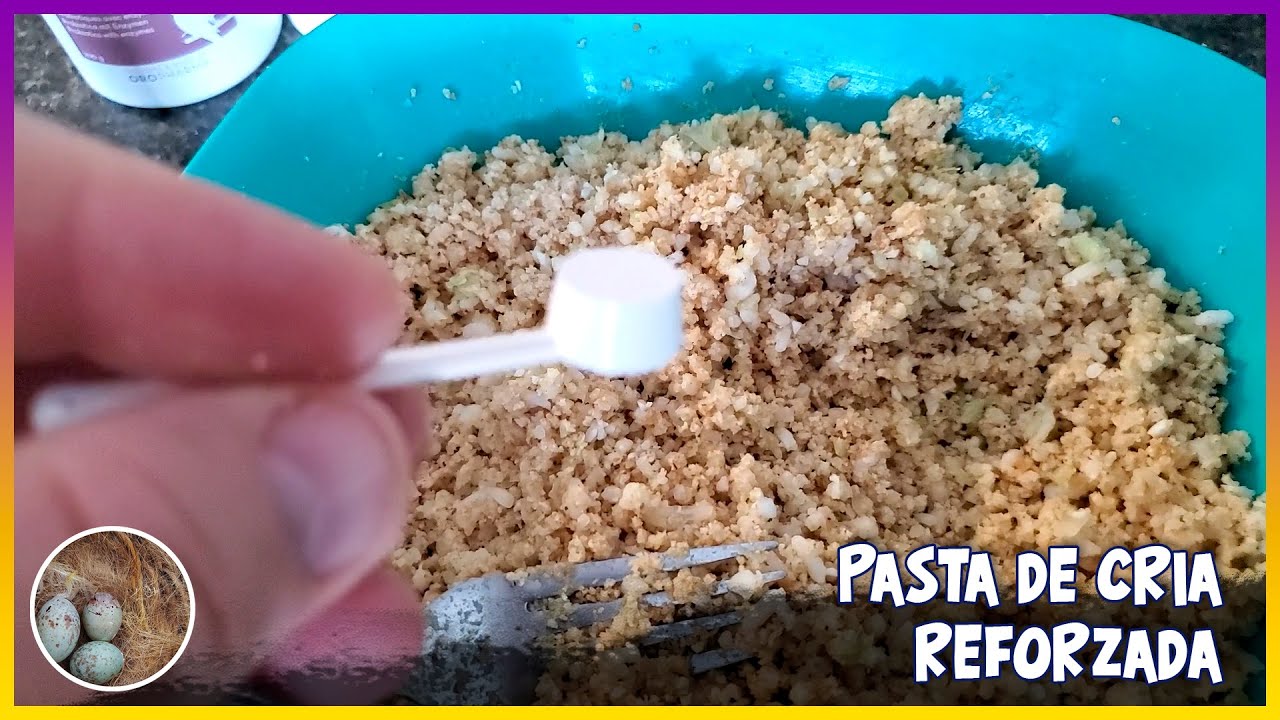 PASTA DE CR&Iacute;A REFORZADA🦜
