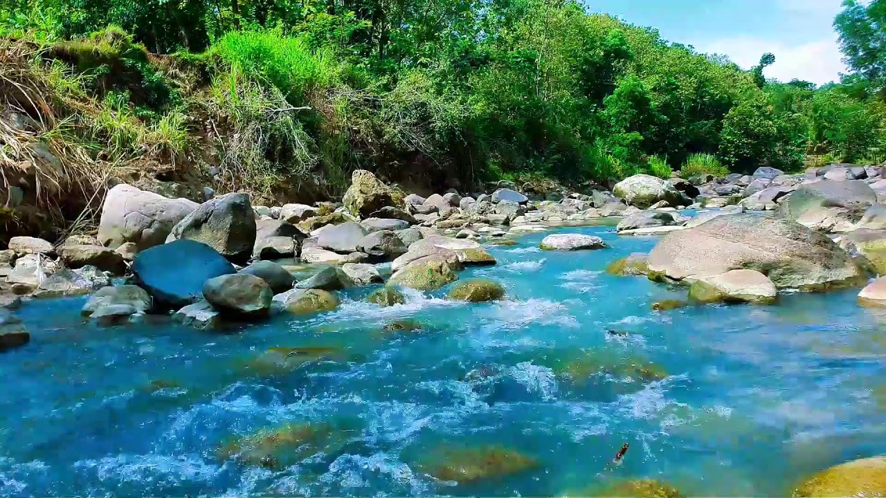 Tranquil River Flow 24/7 Live – Relaxing Water Sounds & Green Noise for Better Sleep & Focus