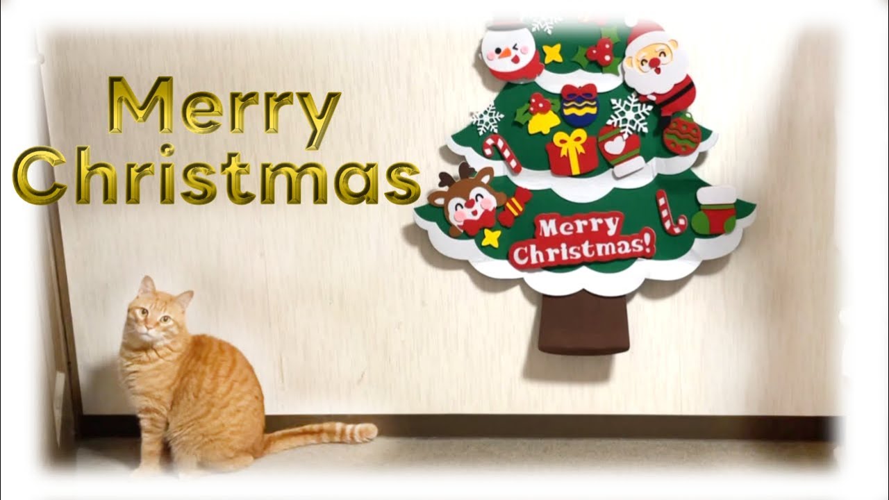 クリスマスツリーと茶トラ猫＆今年もお世話になりました。2024