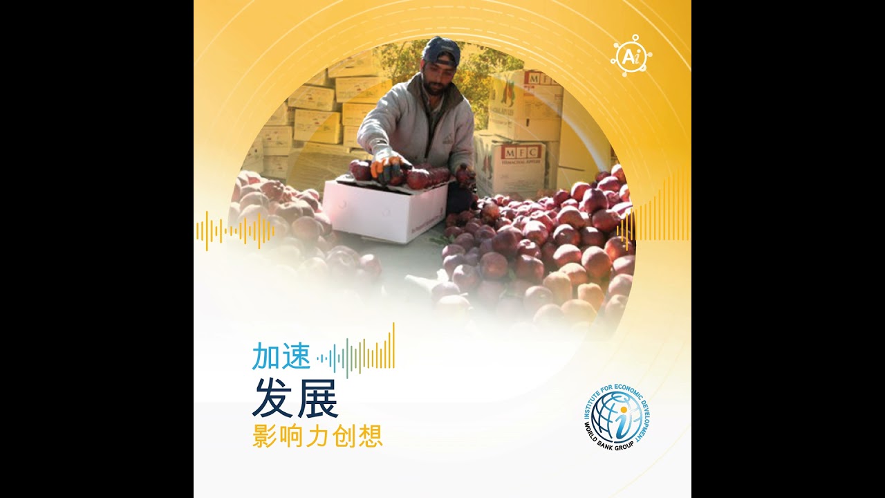 第25期 一个苹果，十五道门槛：农业标准如何重塑全球市场