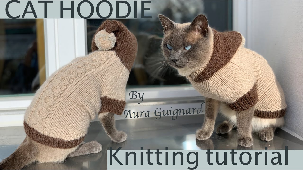 Free #howto #knit  #cat hoodie #knittingtutorials by Aura Guignard #catlover #siamese #siamesecats