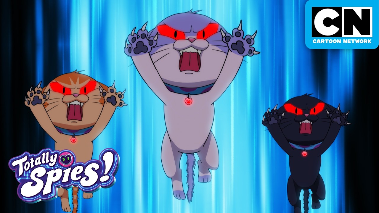 Totally Pawsome! 🐾 🐈 | Totally Spies | Cartoon Network
