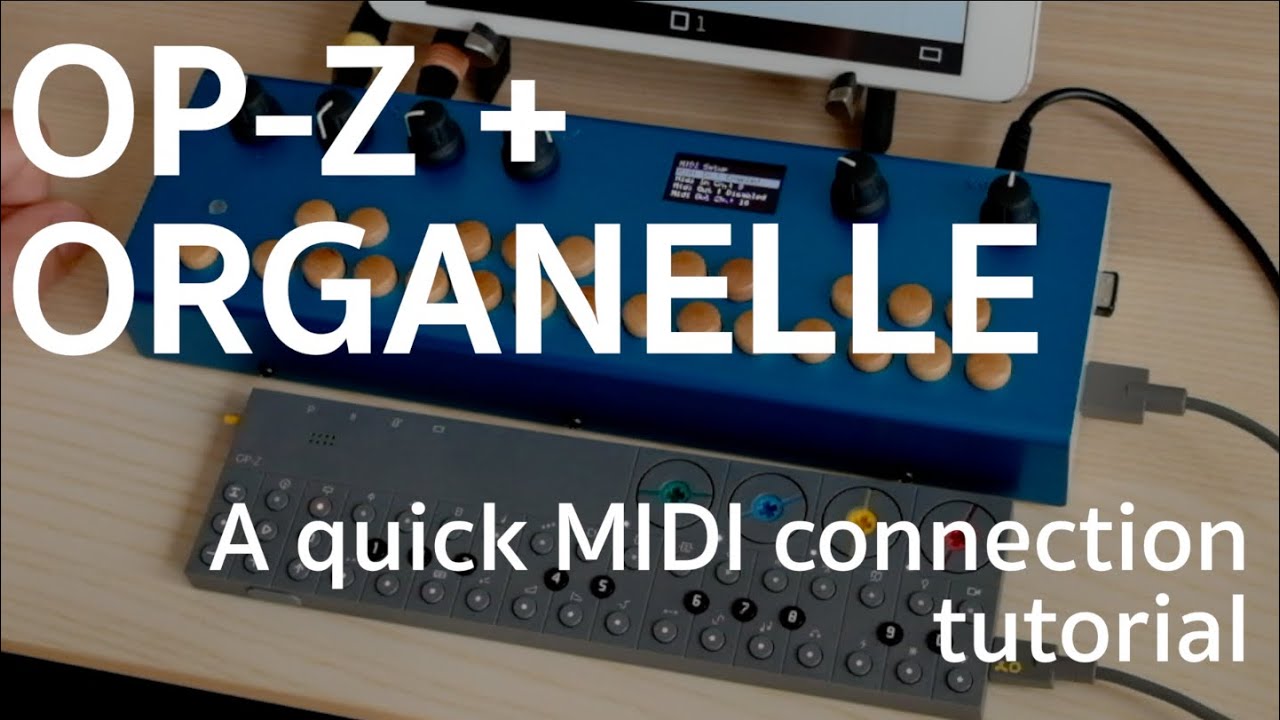 OP-Z + Organelle - a quick MIDI settings tutorial