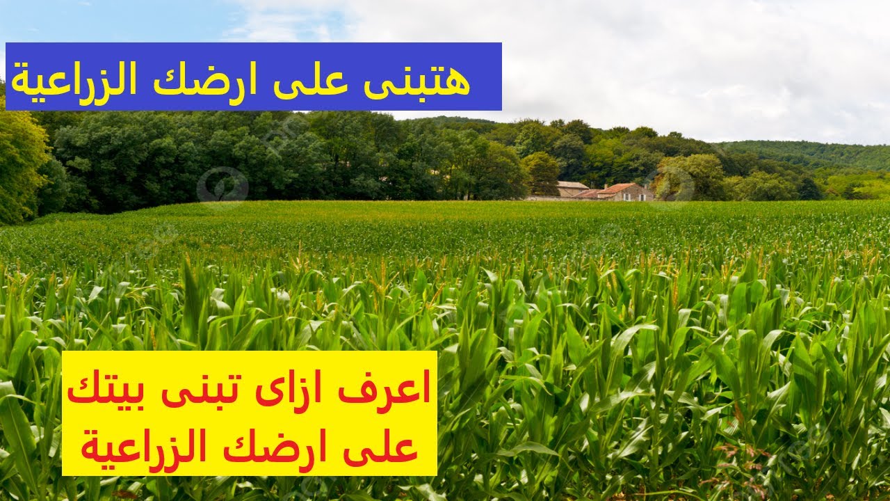 البناء على الارض الزراعية 2024| ترخيص البناء على الارض الزراعية طبقا للقانون