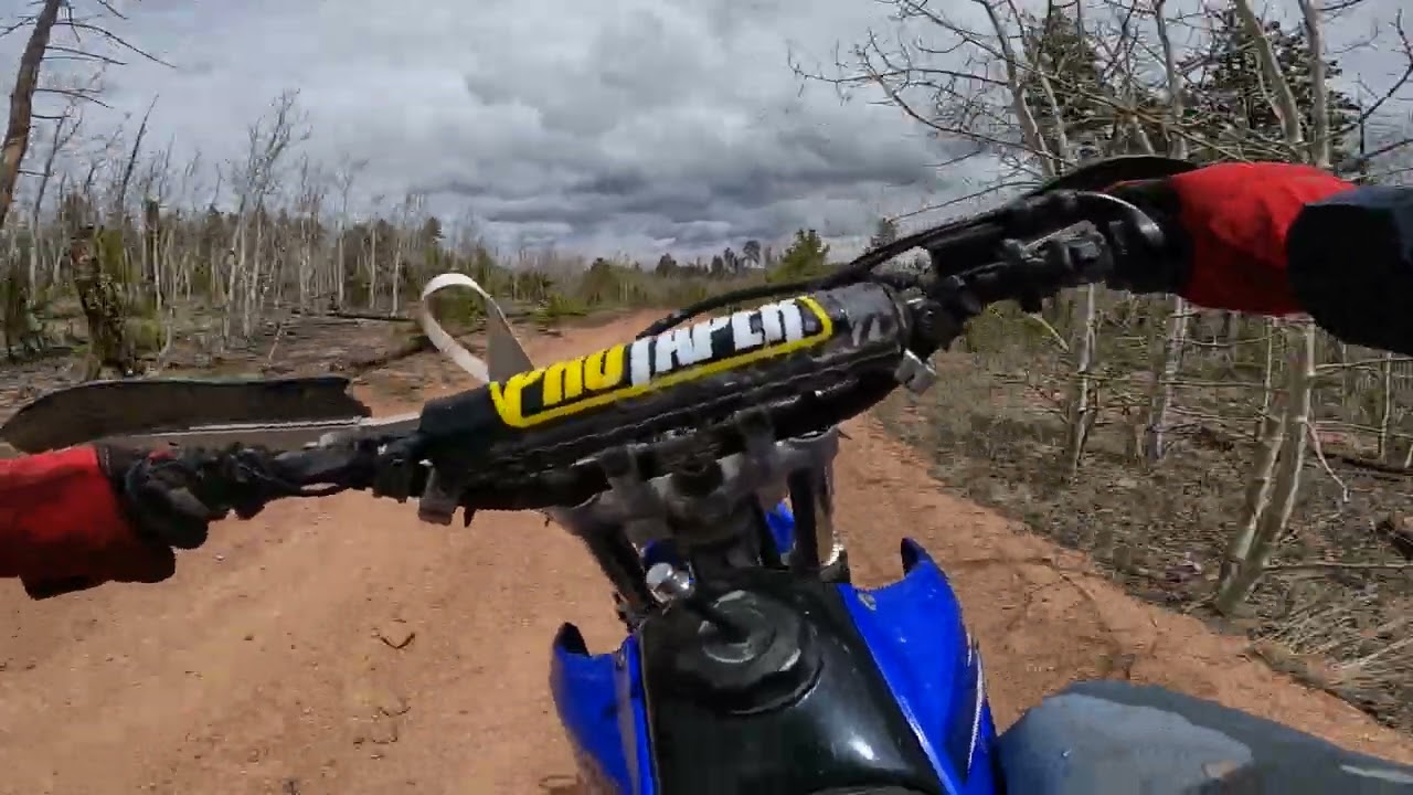Quick test on Yamaha TTR230 | Can a TTR230 be perfectly fine for 200lb riders