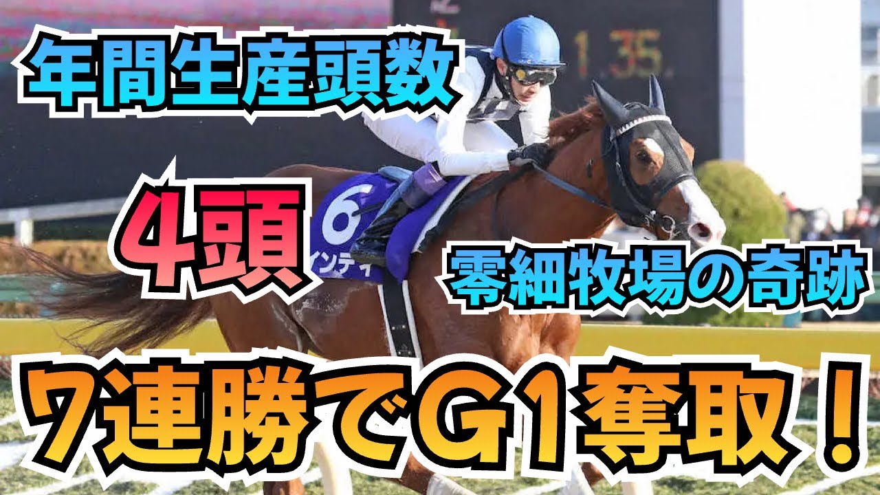 2026新種牡馬紹介 Vol.1 インティ