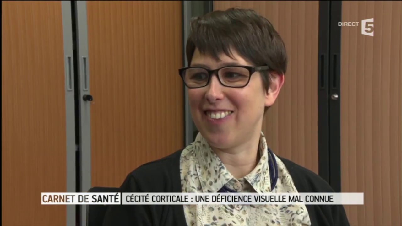 Unit&eacute; Vision et Cognition, C&eacute;cit&eacute; corticale