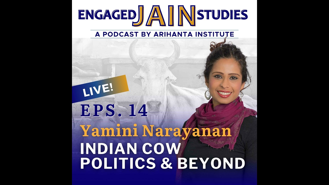 Yamini Narayanan | Indian Cow Politics & Beyond