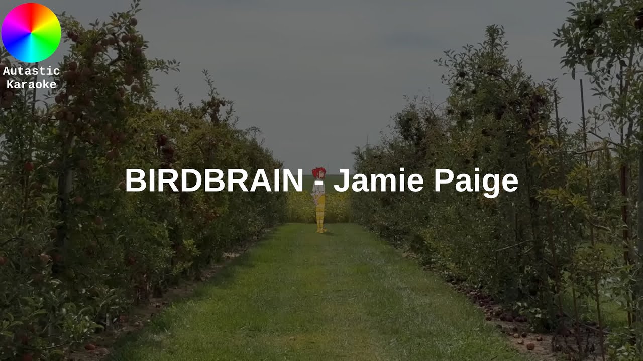BIRDBRAIN - Jamie Paige | Karaoke
