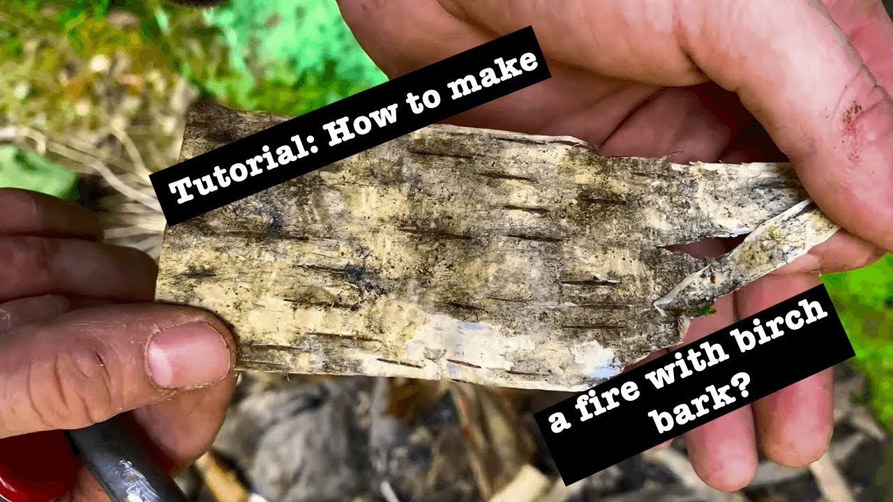 Comment faire un feu à l’écorce de bouleau ?