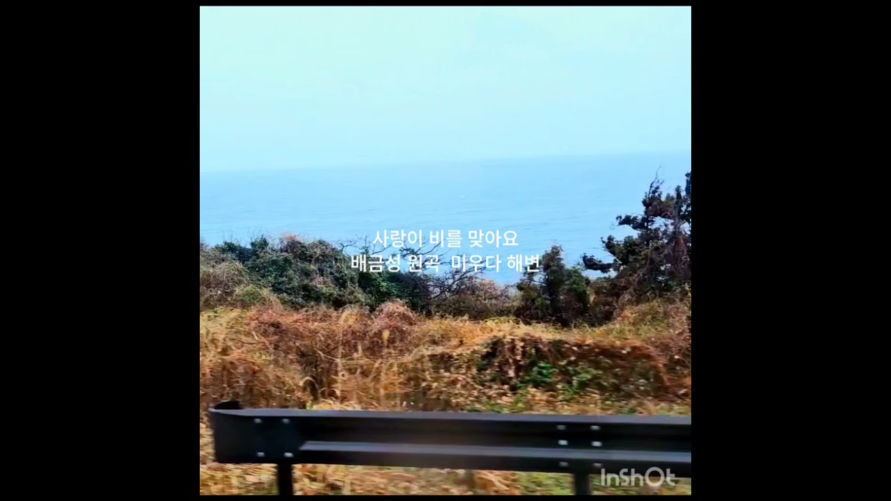 사랑이 비를 맞아요 배금성 원곡 
